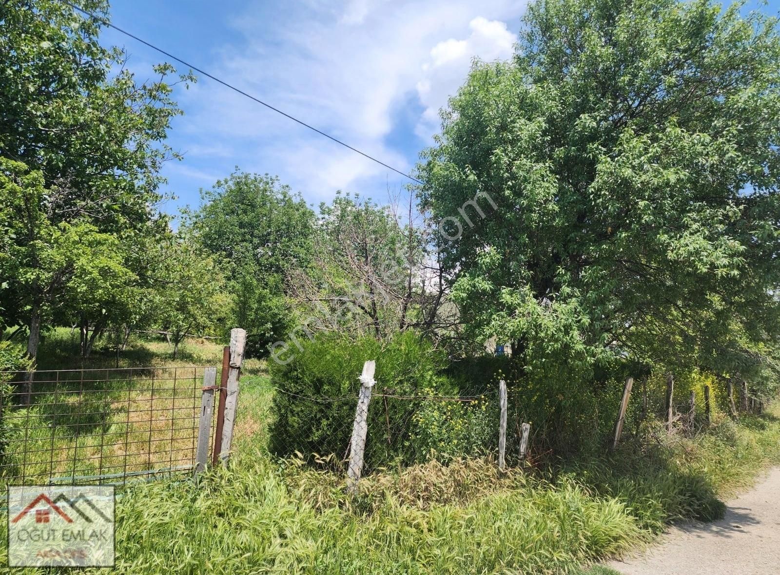 Lalahan Merkeze Yakın İçinde Yapı Olan 2526m Arsa. - Görsel 19