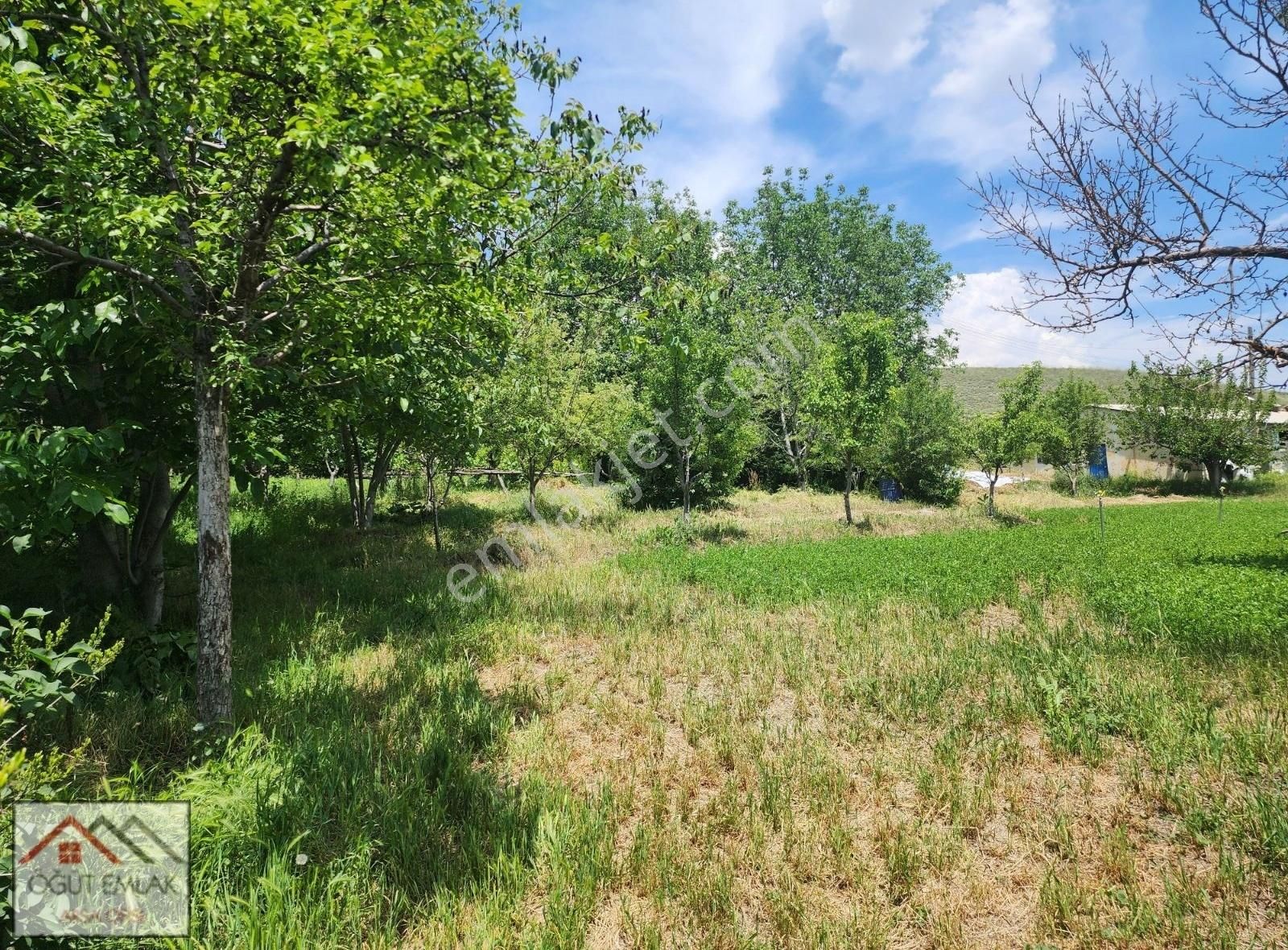 Lalahan Merkeze Yakın İçinde Yapı Olan 2526m Arsa. - Görsel 14