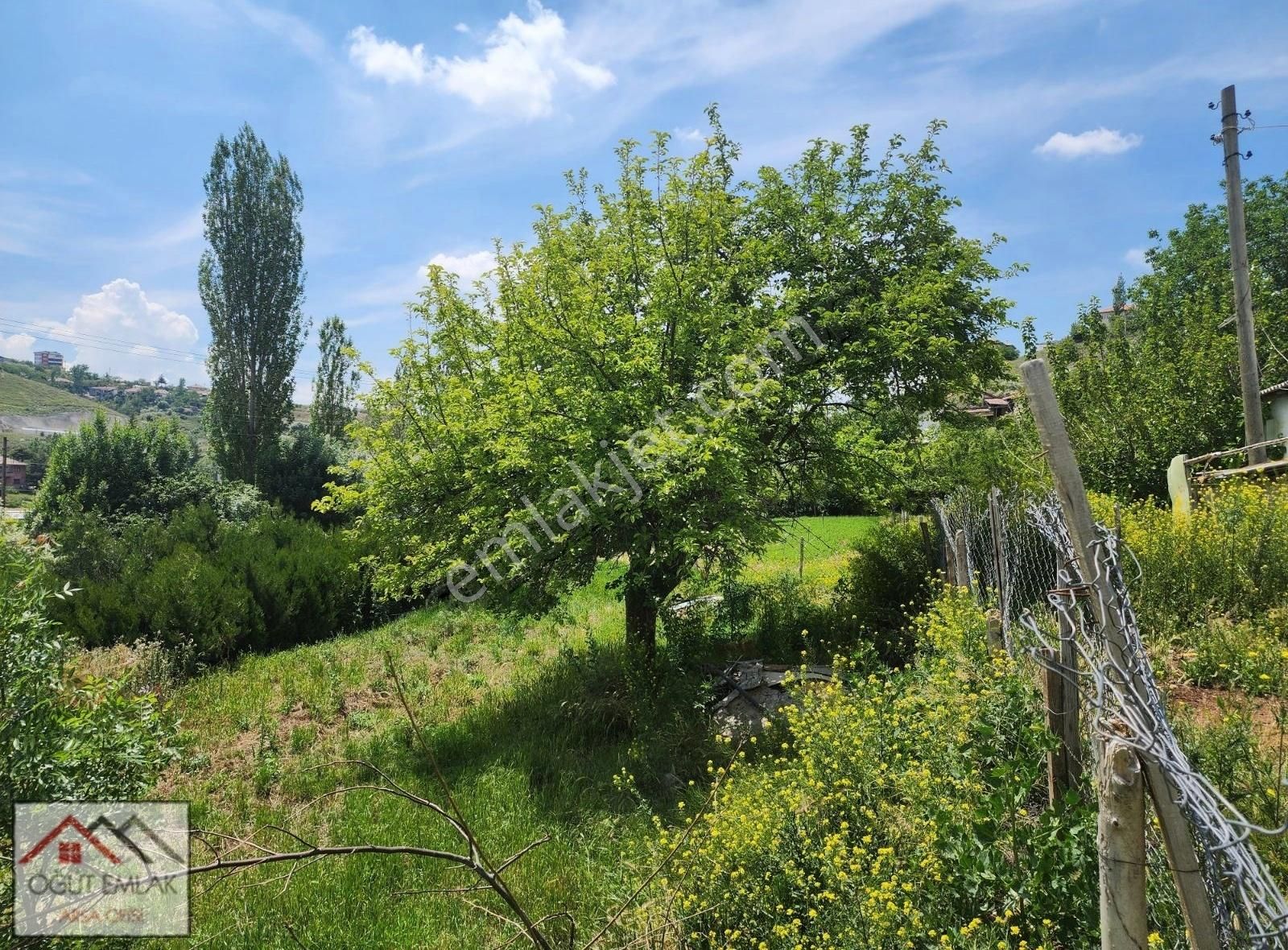 Lalahan Merkeze Yakın İçinde Yapı Olan 2526m Arsa. - Görsel 13