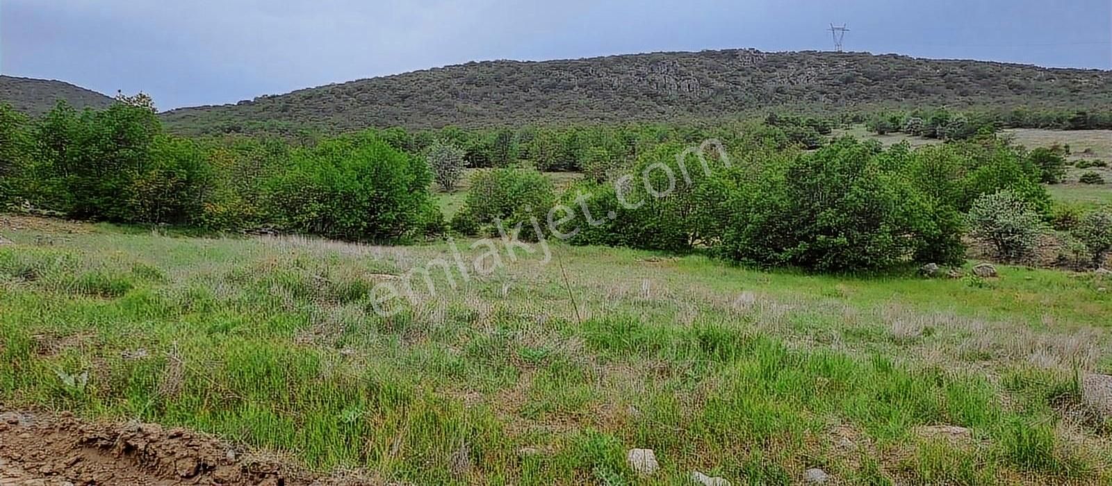 Seydişehir Gevrekli Satılık Tarla KONYA SEYDİŞEHİR GEVREKLİ DE TEK TAPU TARLA YATIRIMLIK