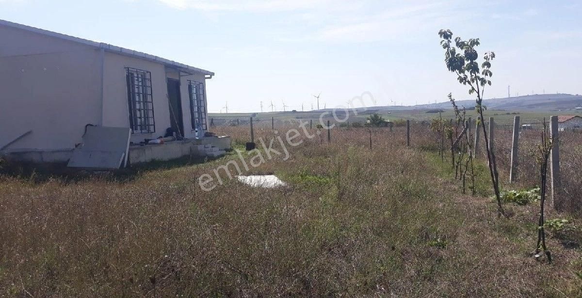 Müstakil Ev - Görsel 5