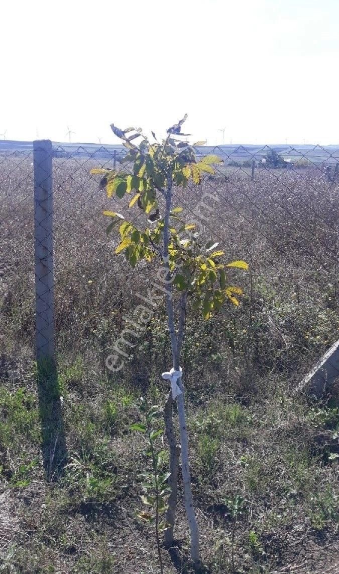 Müstakil Ev - Görsel 24