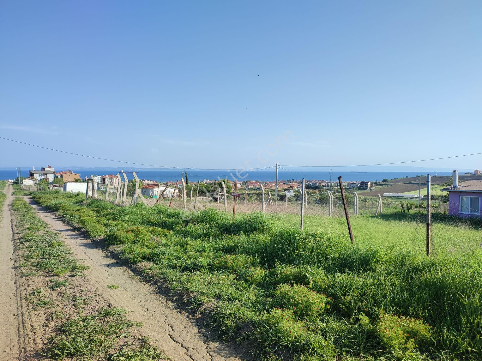 Bulut Yatırımdan 235 M² % 25 İmarlı Deniz Manzaralı Arsa - Görsel 10