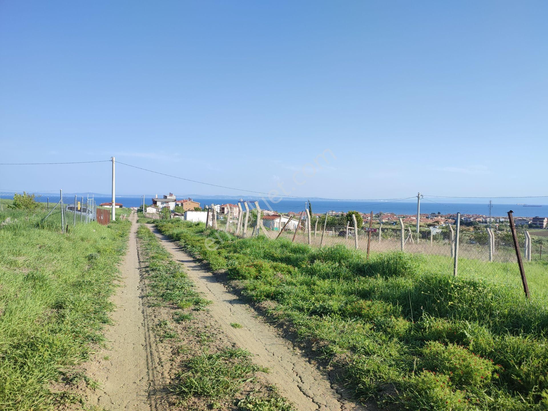 Bulut Yatırımdan 235 M² % 25 İmarlı Deniz Manzaralı Arsa - Görsel 11