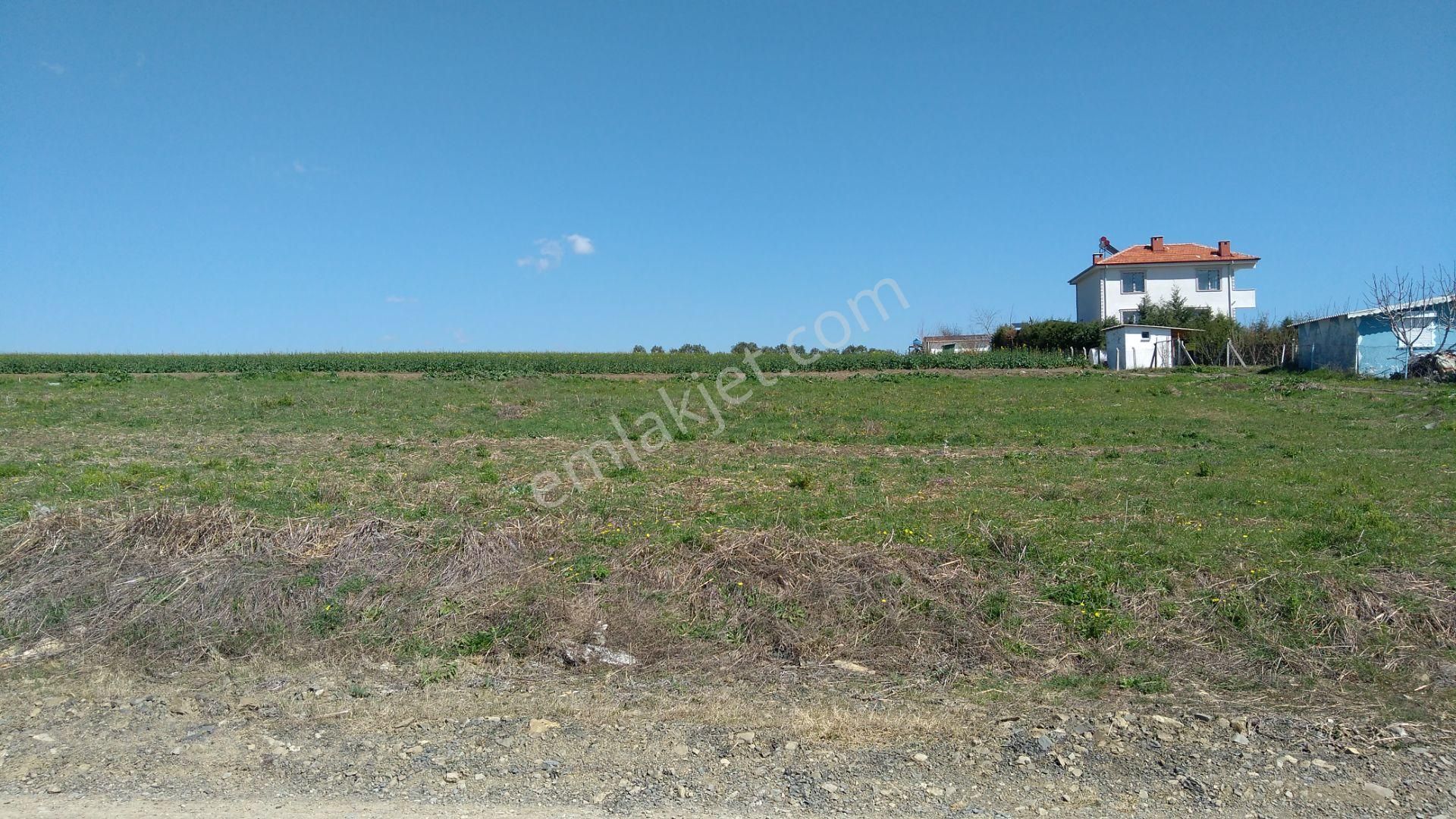 Bulut Yatırımdan 235 M² % 25 İmarlı Deniz Manzaralı Arsa - Görsel 23