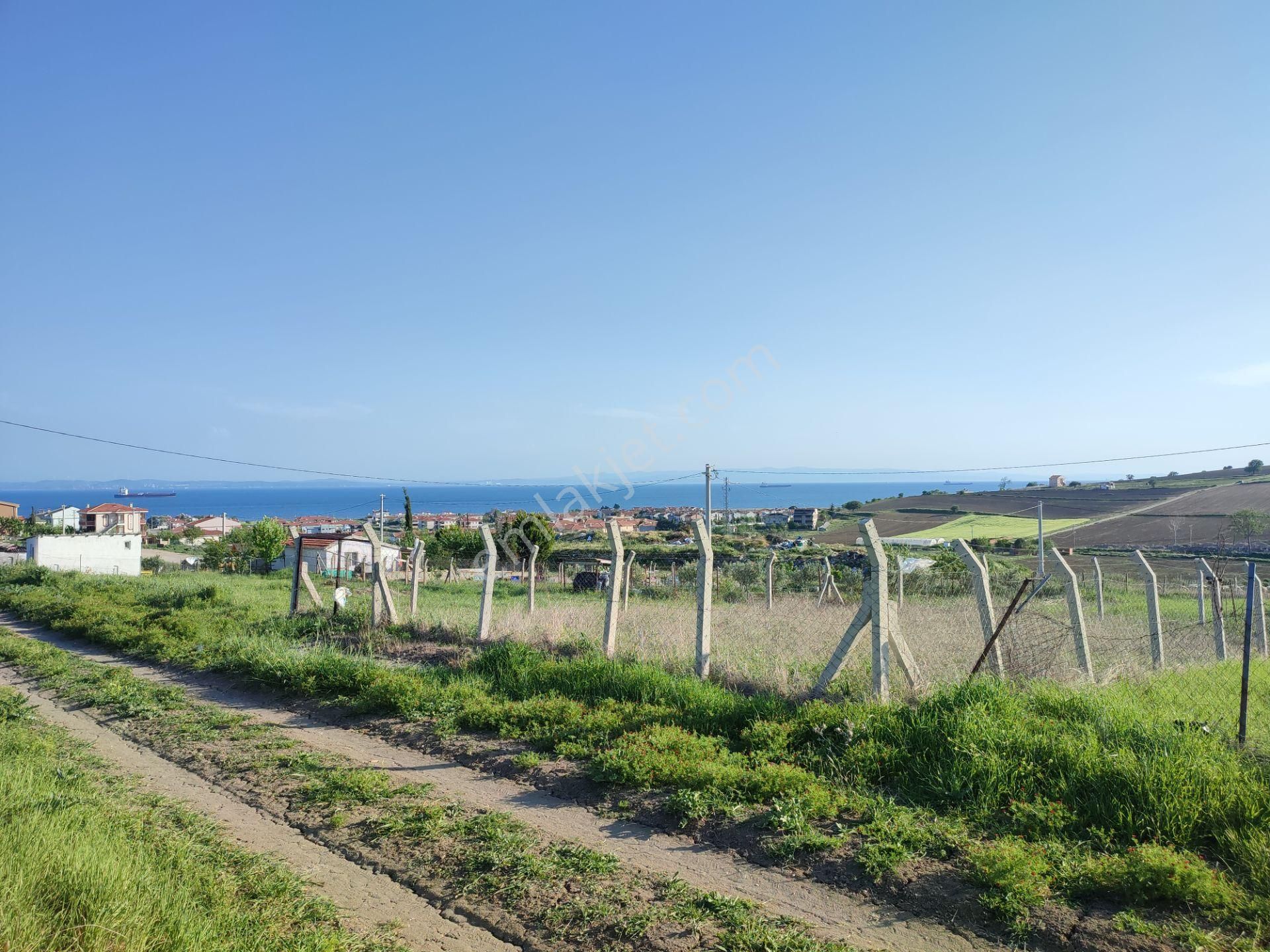 Bulut Yatırımdan 235 M² % 25 İmarlı Deniz Manzaralı Arsa - Görsel 2