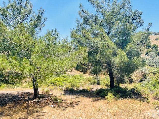 117- Ulaşım Sorunu Olmayan Asfalta Yakın Arazi - Görsel 18