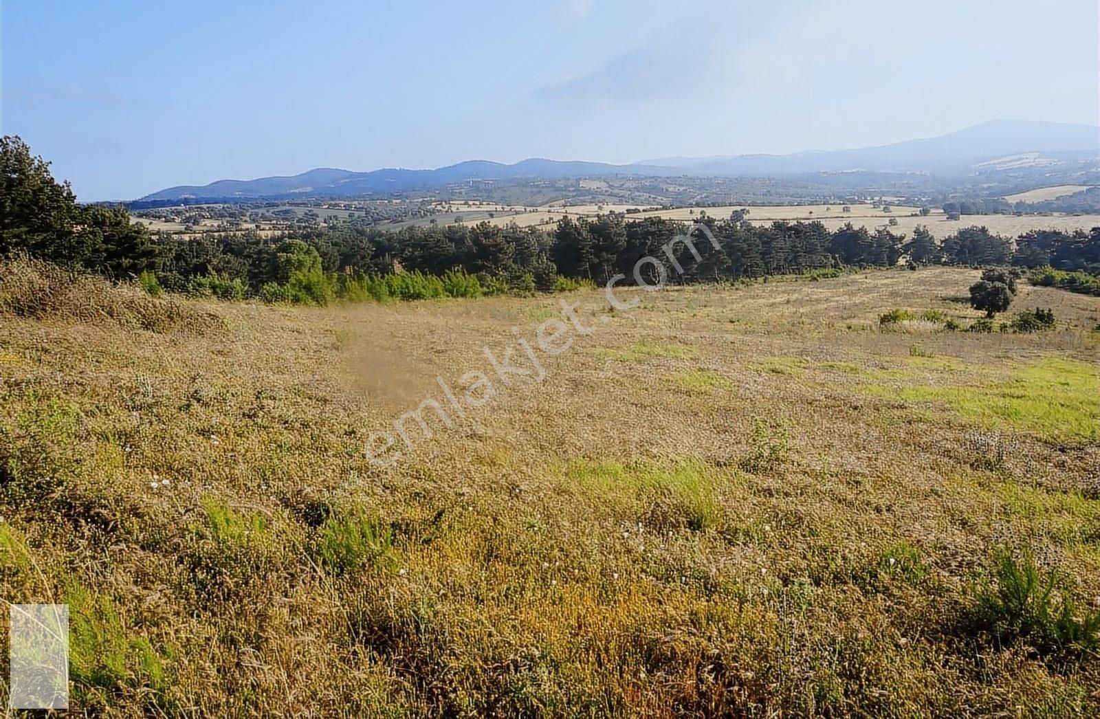 Bayramiç Saçaklı Köyü Satılık Tarla  ÇANAKKALE BAYRAMİÇ SAÇAKLI KÖYÜ 22.579 m2 TARLA