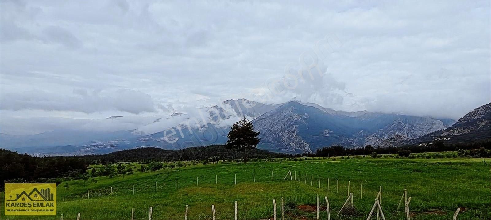 Pozantı Alpu Satılık Tarla ALPU YAYLASINDA MÜKEMMEL KONUMDA