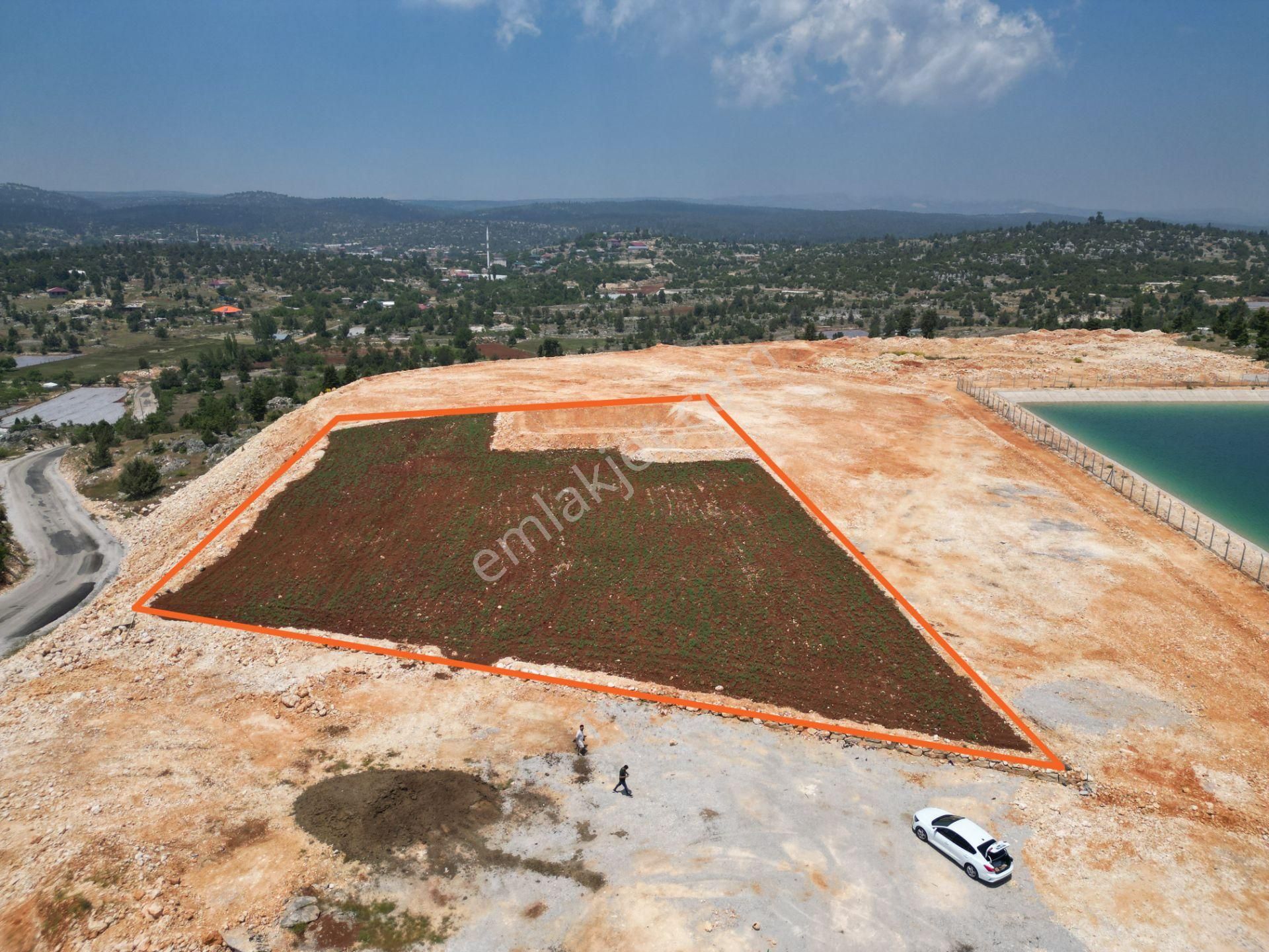 Erdemli Alibeyli Satılık Tarla  KİNG'DEN ALİBEYLİ'DE GÖLET VE ORMAN MANZARALI 4343 M2 TARLA