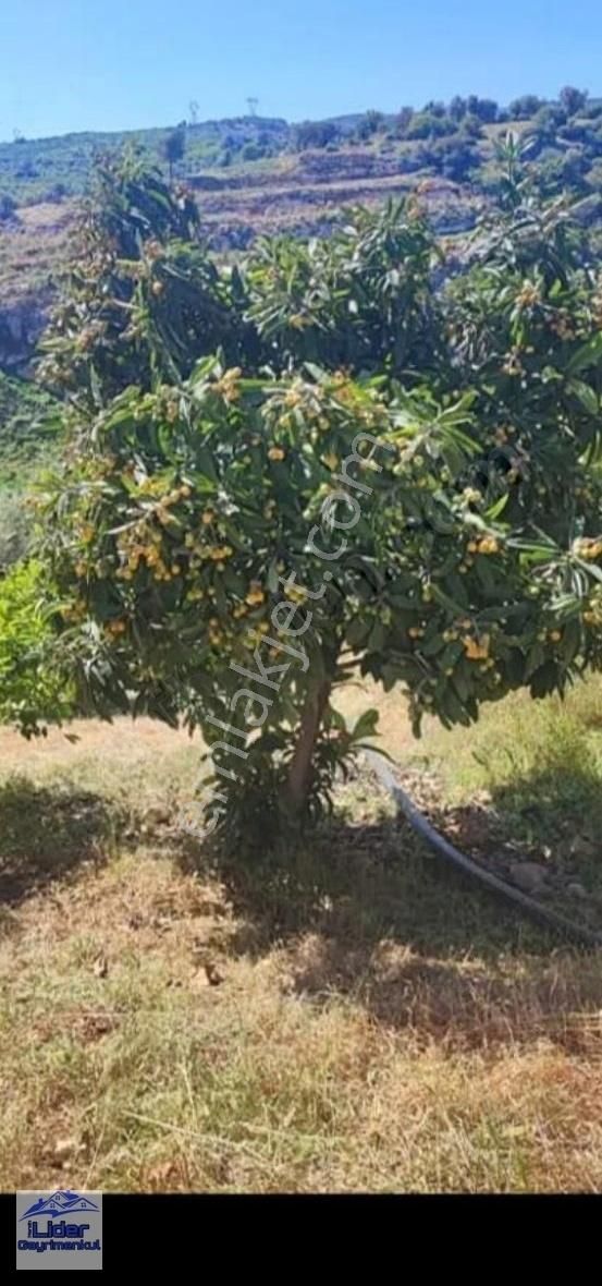 Erdemli Hacıhalilarpaç Satılık Tarla Mersin Lider Gayrimenkul Den Satılık Uygun Arsa