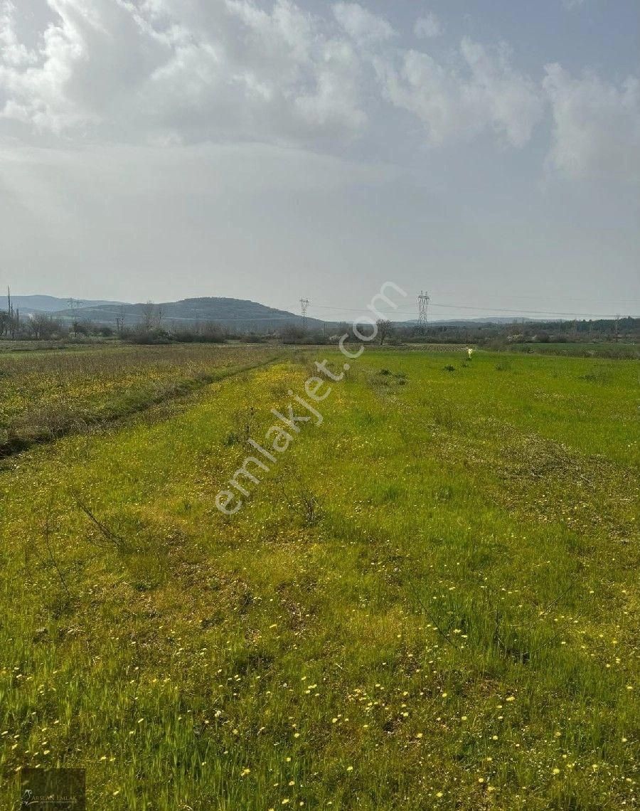 Yenice Engeci Köyü Satılık Tarla ÇANAKKALENİN  PARLAYAN YILDIZI YENİCE ENGECİ KÖYÜ KAÇRILMAYACAK FIRSAT TARLA