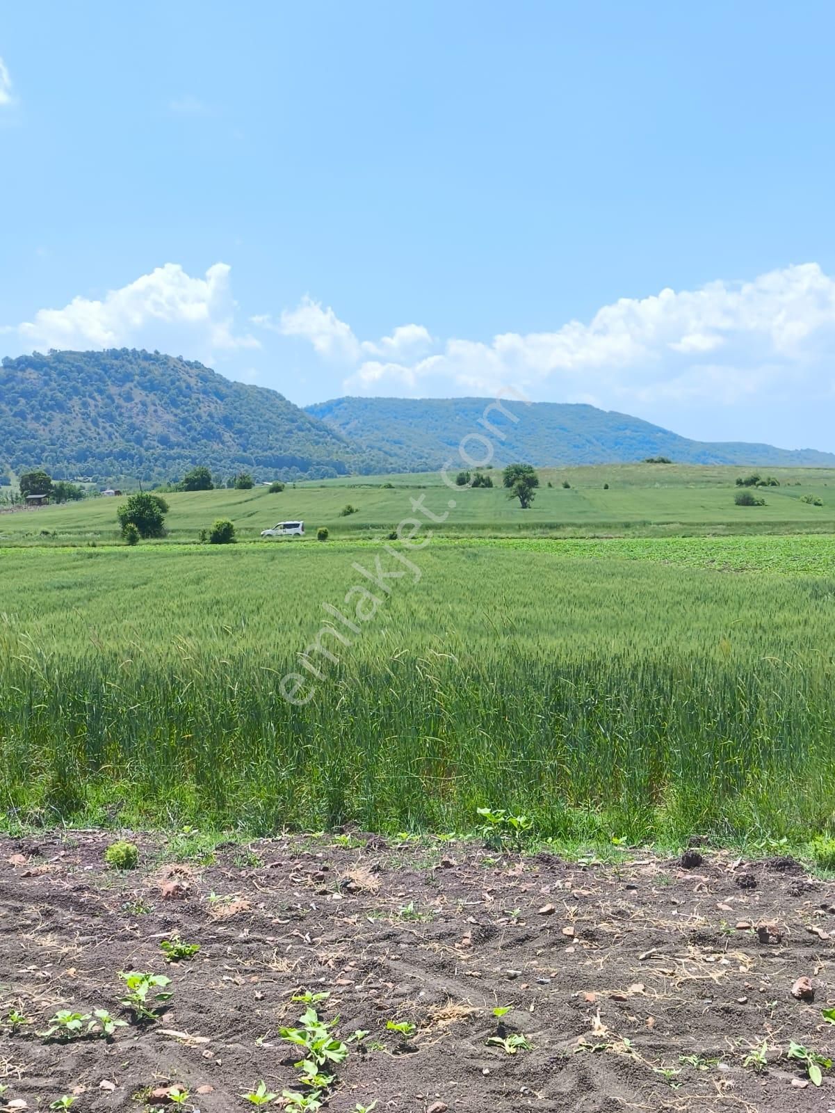 Bozüyük Kandilli Köyü Satılık Tarla Bilecik Bozüyük Kandilli Köyünde Satılık 2091 M2 Tarla