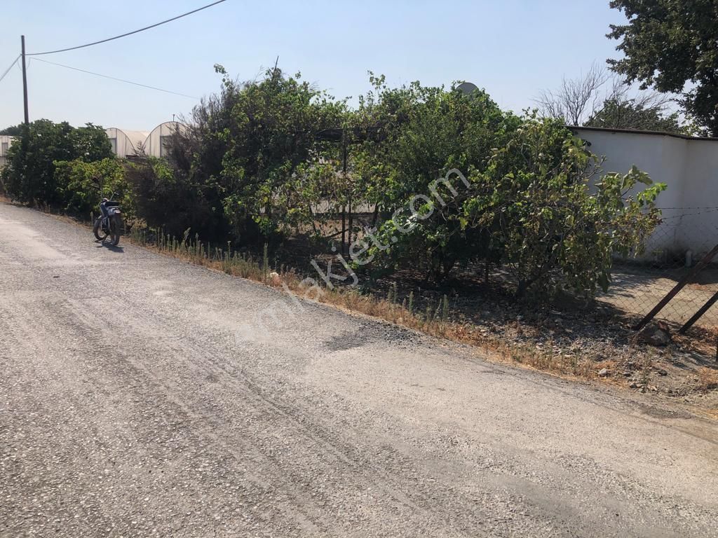 Güzelbahçe Çamlı Da 758 M2 Yola Cepheli 15/30 İmarlı Arsa Satılık. - Görsel 2