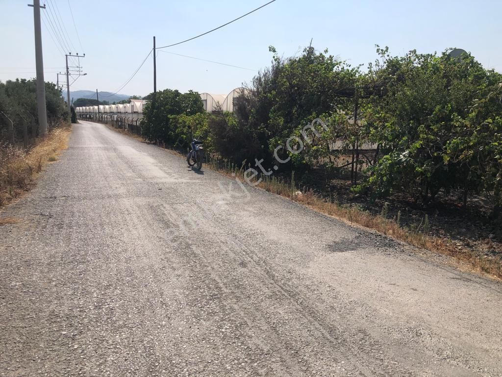 Güzelbahçe Çamlı Da 758 M2 Yola Cepheli 15/30 İmarlı Arsa Satılık. - Görsel 3