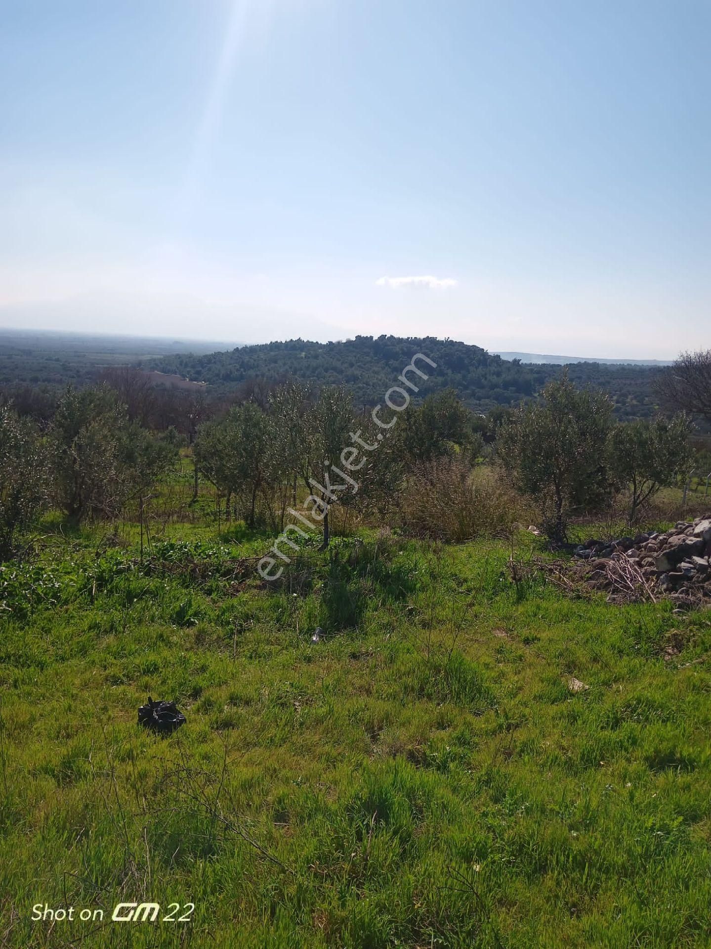 Manisa Saruhanlı Sarıçam Mah.satılık Villa İmarlı Arsa - Görsel 11