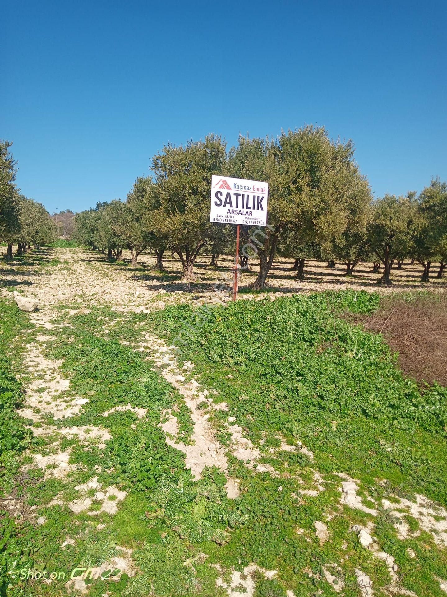 Manisa Saruhanlı Sarıçam Mah.satılık Villa İmarlı Arsa - Görsel 2