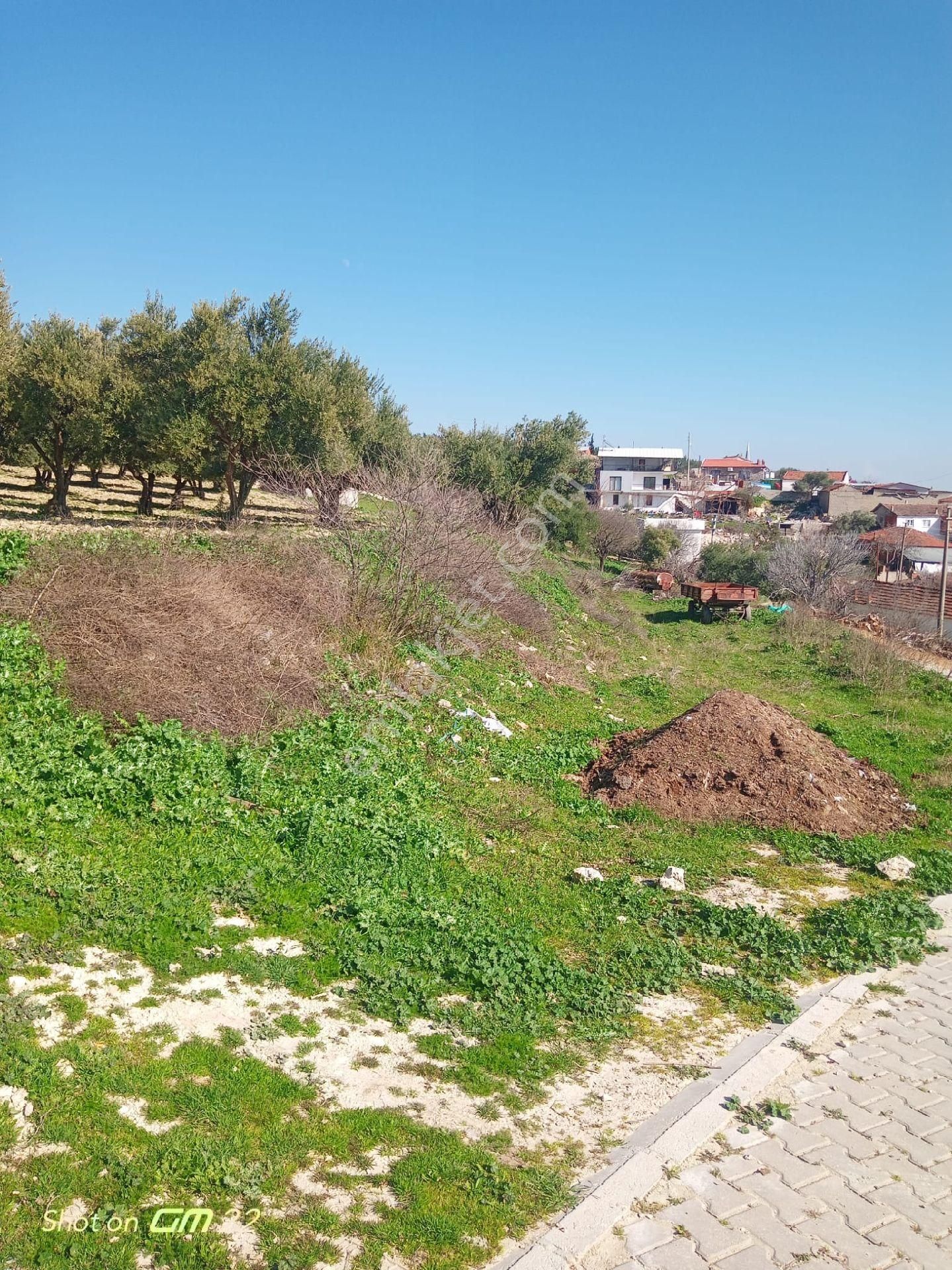 Manisa Saruhanlı Sarıçam Mah.satılık Villa İmarlı Arsa - Görsel 3