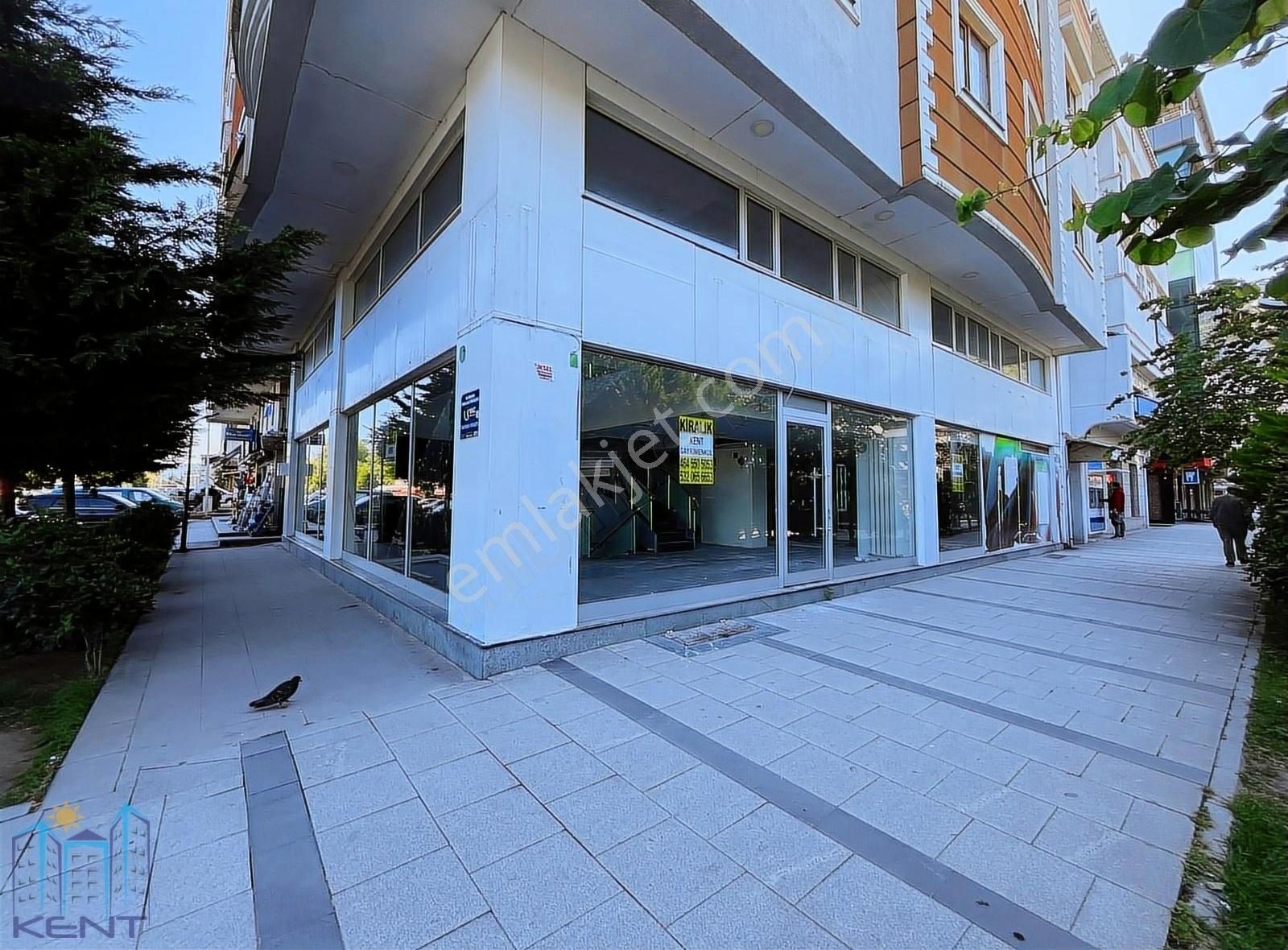 Çayeli Yenipazar Kiralık Dükkan & Mağaza ÇAYELİ MERKEZ ANA LOKASYONDA TOPLAMDA 400M2 3 KAT KİRALIK İŞYERİ