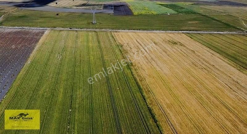 Bandırma Külefli Satılık Tarla KÜLEFLİ MAHALLESİNDE SATILIK 40 DÖNÜM ARAZİ S