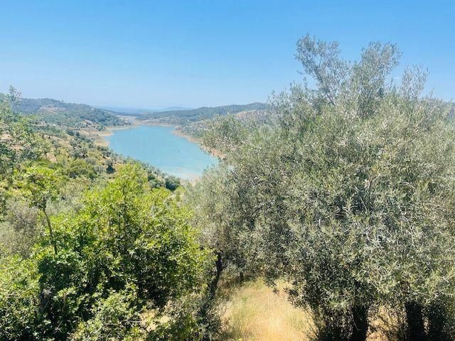 001-baraj Ve Deniz Manzaralı Zeytinlik - Görsel 31