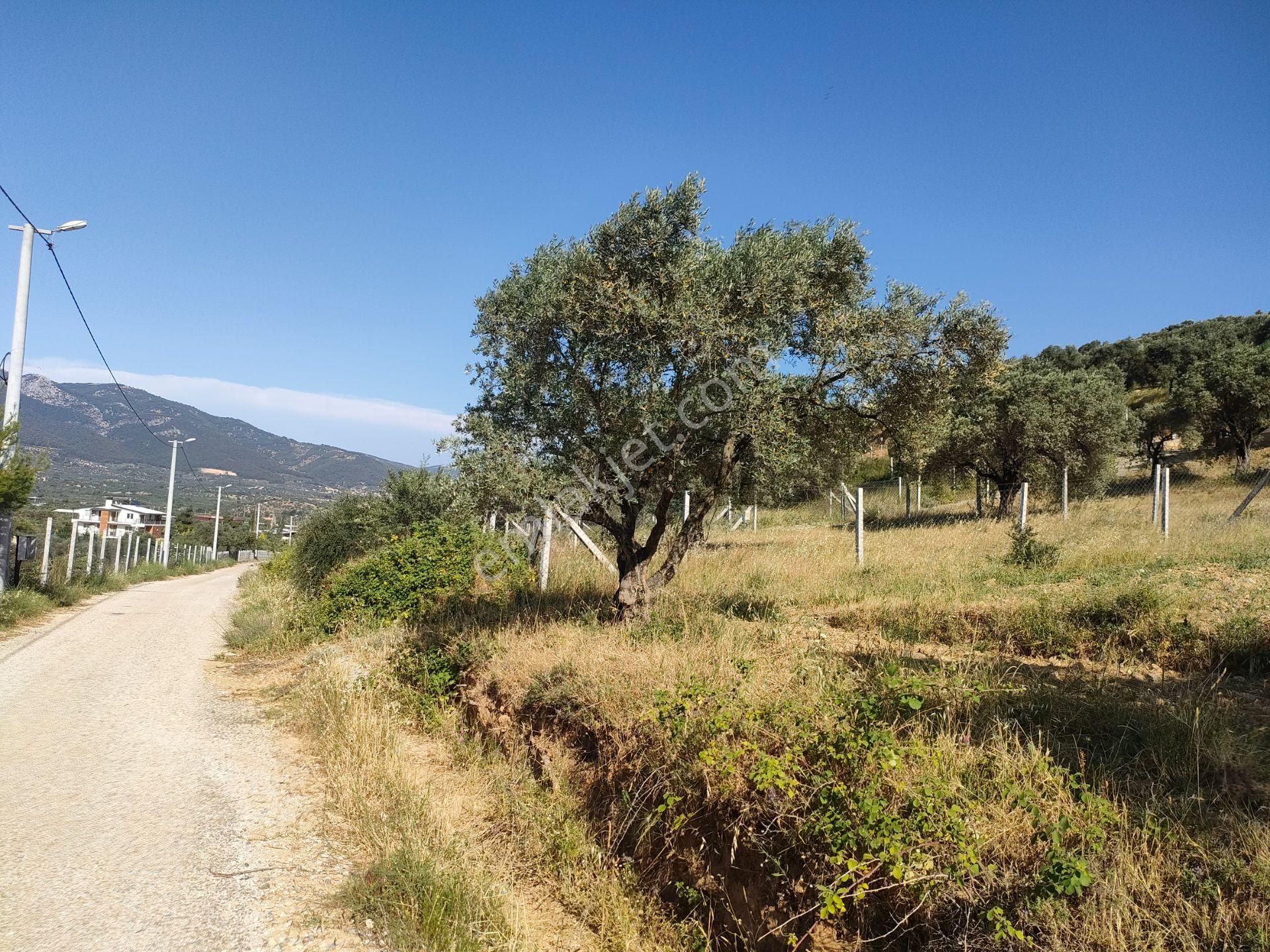 Torbalı Çakırbeyli Satılık Arazi Göl Gayrimenkul'den Satılık Kelepir.. 340 M2 Asfalt Yola Cepheli Arsa...