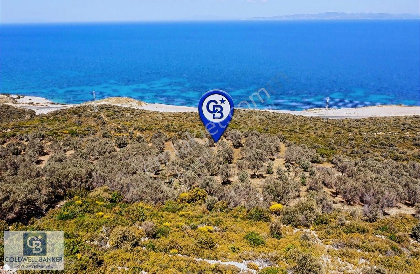 İzmir Karaburun Eğlenhoca'da Deniz Manzaralı 3810 M2 Tarla - Görsel 24