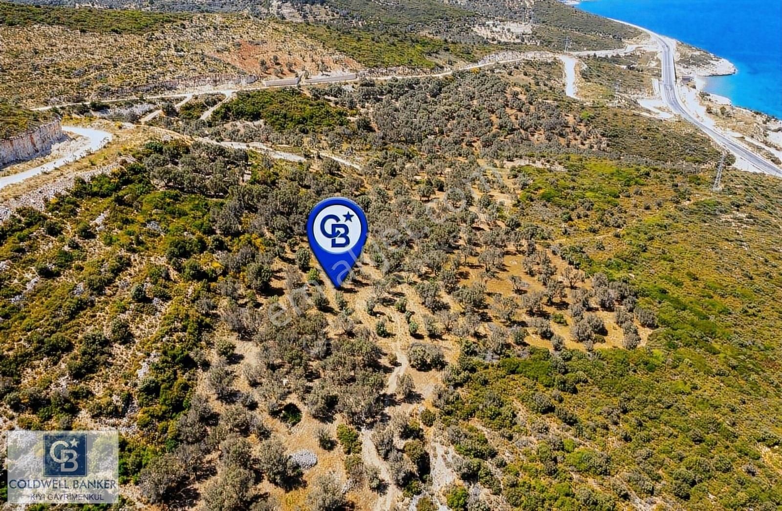 İzmir Karaburun Eğlenhoca'da Deniz Manzaralı 3810 M2 Tarla - Görsel 7