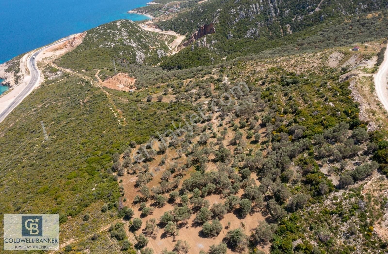 İzmir Karaburun Eğlenhoca'da Deniz Manzaralı 3810 M2 Tarla - Görsel 5