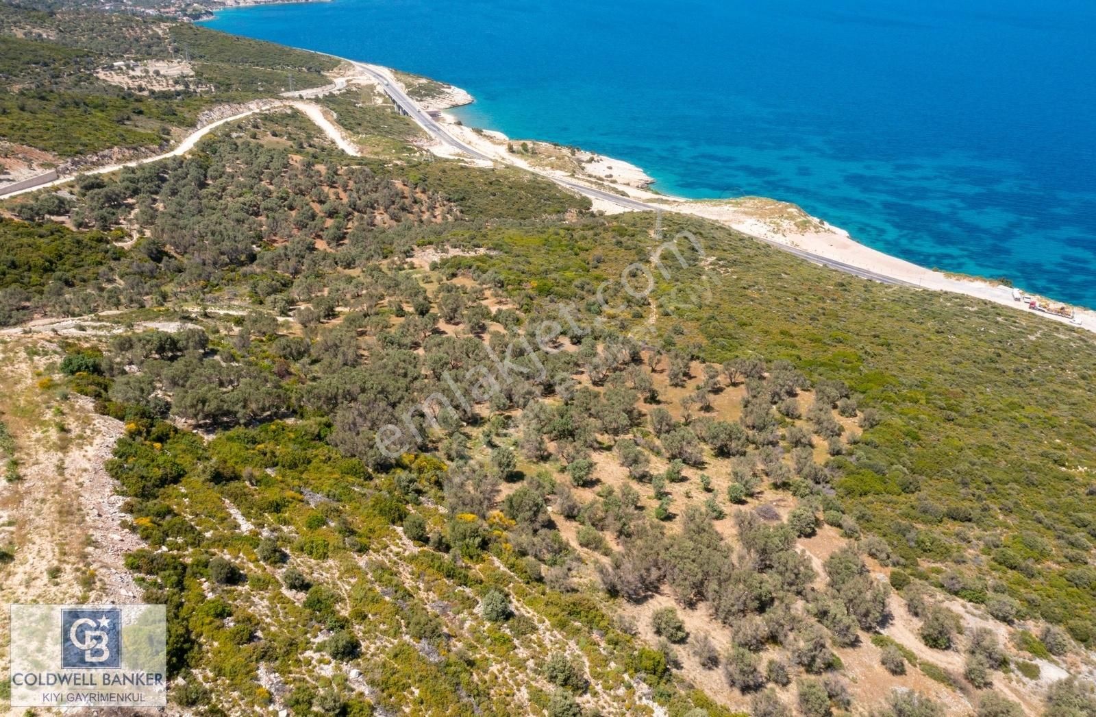 Karaburun Eğlenhoca Satılık Tarla İzmir Karaburun Eğlenhoca'da Deniz Manzaralı 3810 m2 Tarla