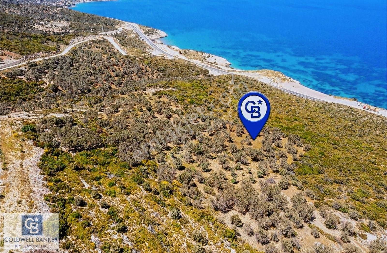 İzmir Karaburun Eğlenhoca'da Deniz Manzaralı 3810 M2 Tarla - Görsel 17
