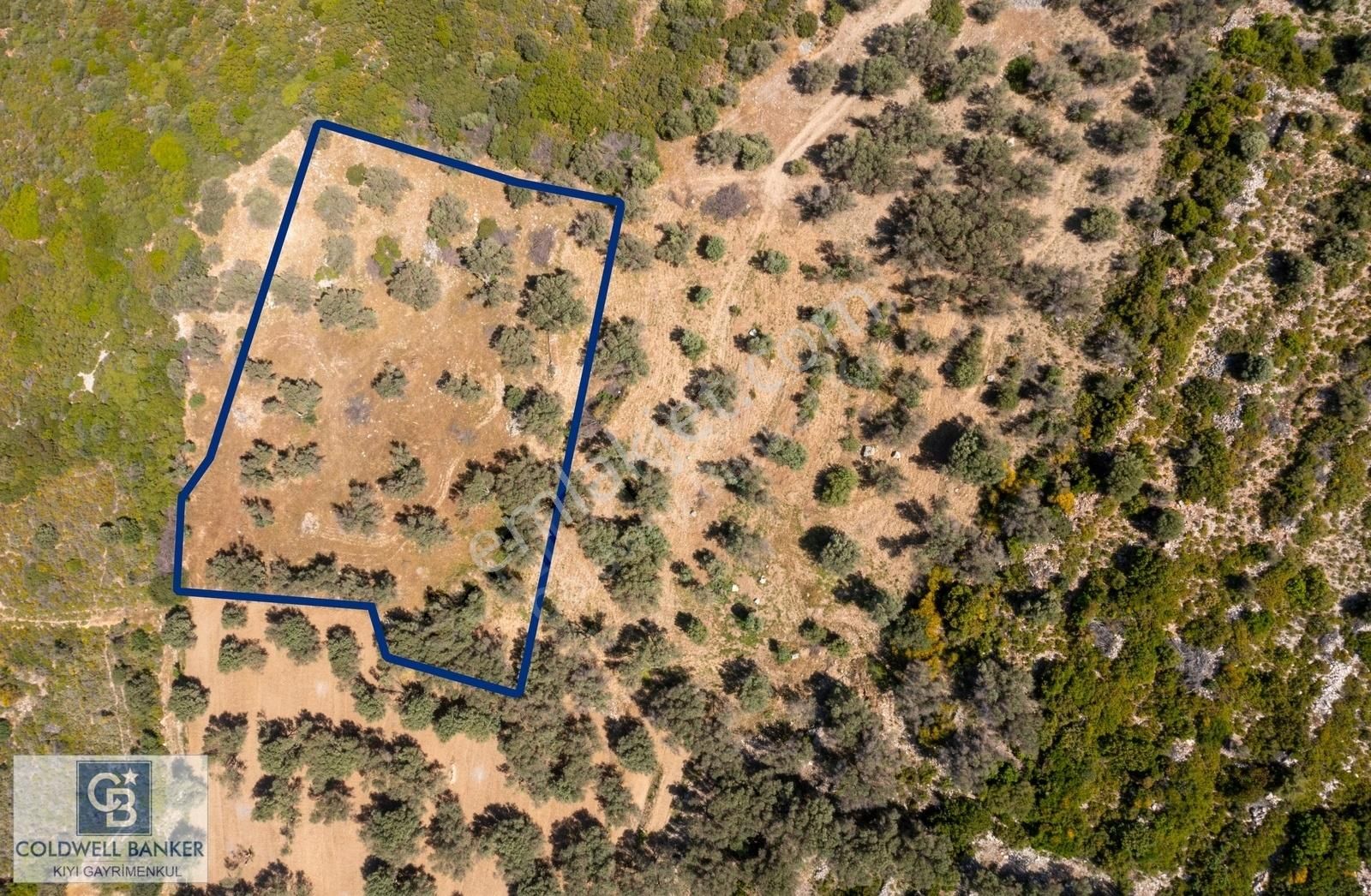 İzmir Karaburun Eğlenhoca'da Deniz Manzaralı 3810 M2 Tarla - Görsel 31