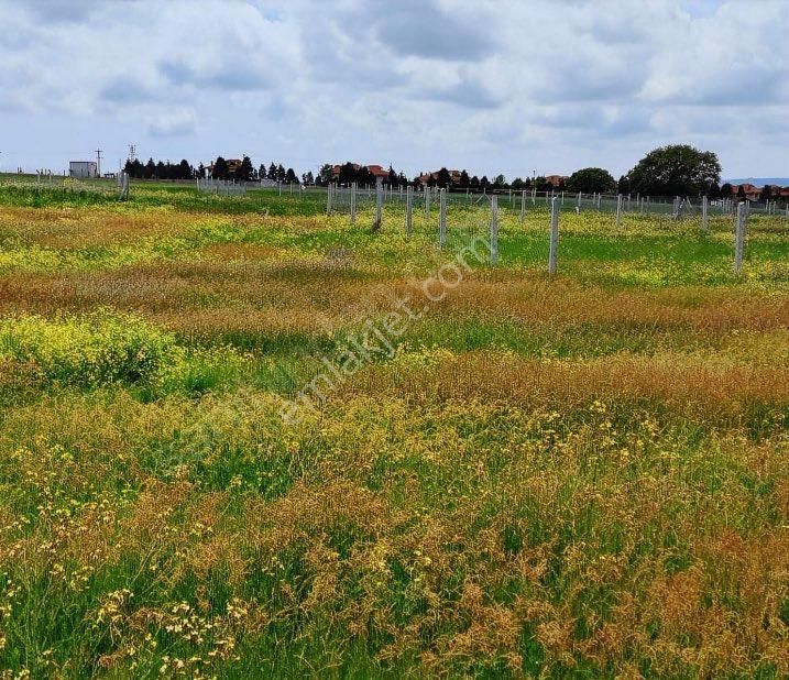Sahibinden Satılık İmalı Arsa - Görsel 9