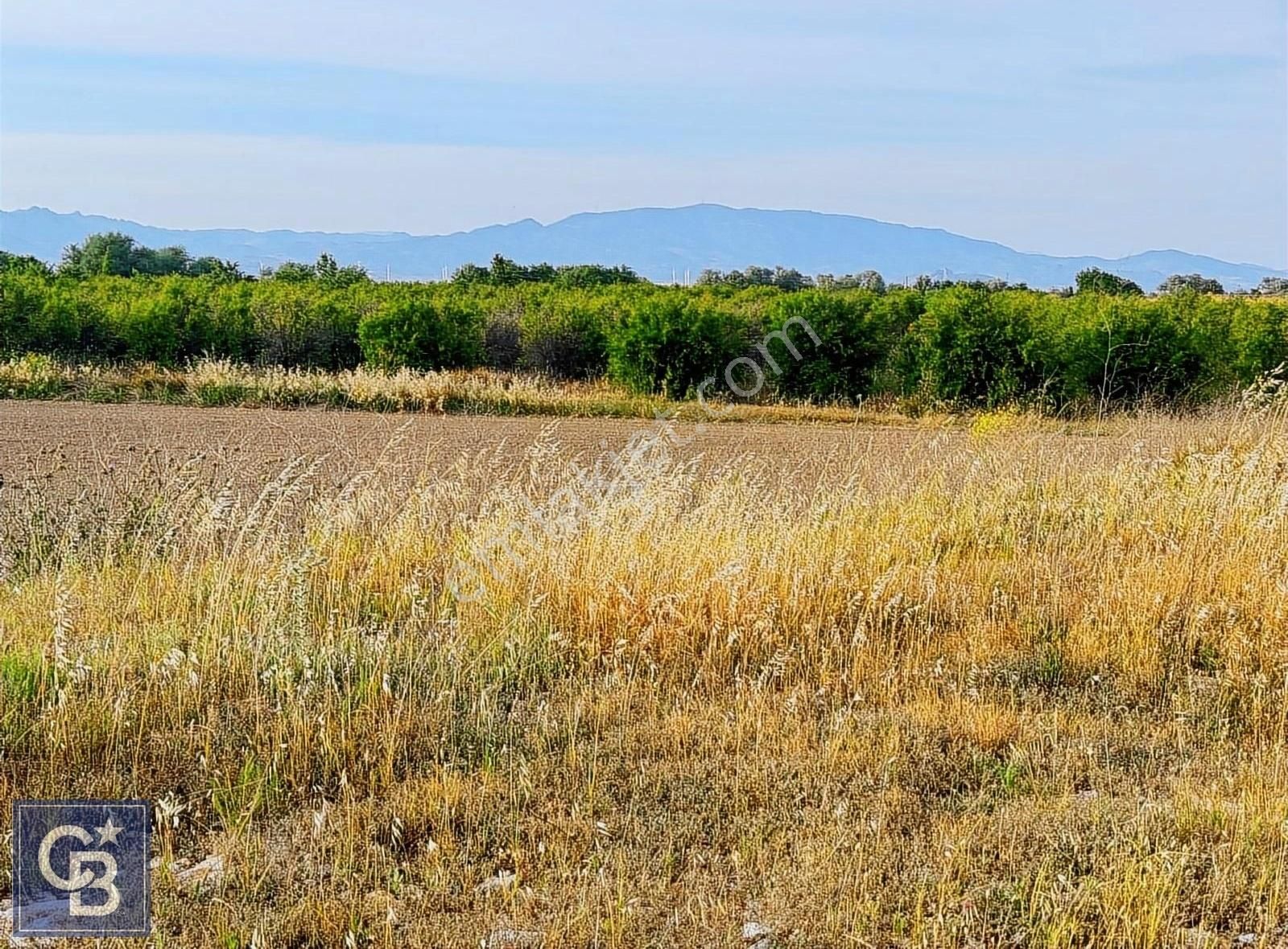 Bergama Zeytindağ Satılık Tarla İzmir Bergama Zeytindağ'da ACİL SATILIK ARSA