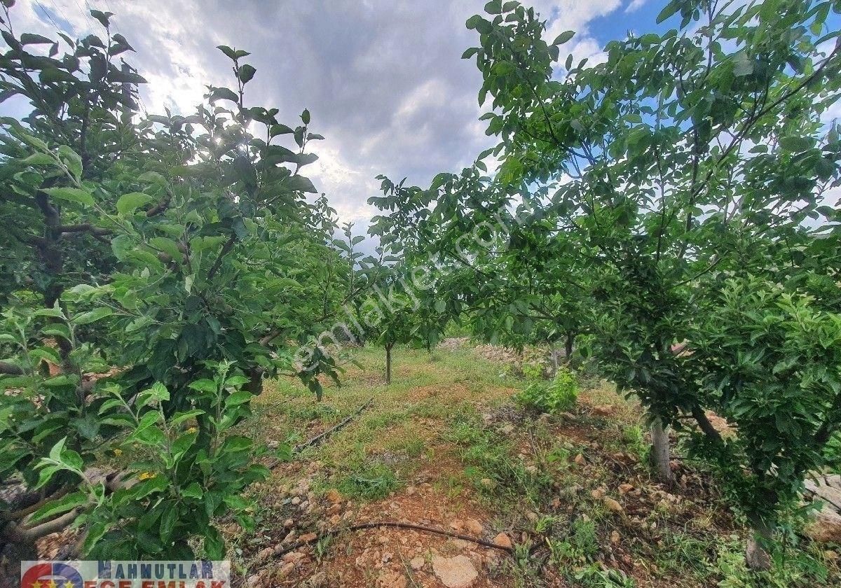 Konya Taşkent Balcılar Merkezde İçerisinde Ev Olan 3000 M2. Bahçe *alanya'da Daire İle Takas - Görsel 14