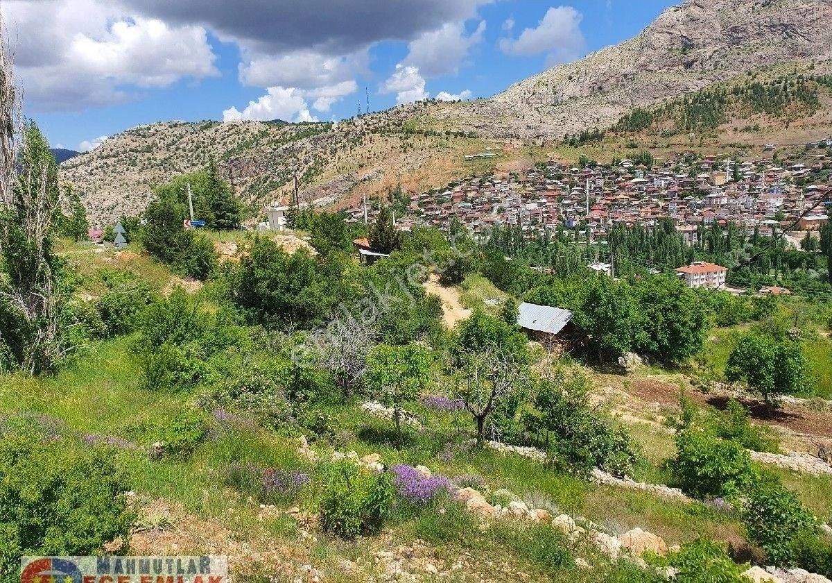 Taşkent Balcılar Orta Satılık Köy Evi KONYA TAŞKENT BALCILAR MERKEZDE İÇERİSİNDE EV OLAN 3000 M2. KİRAZ -ELMA-CEVİZ BAHÇESİ