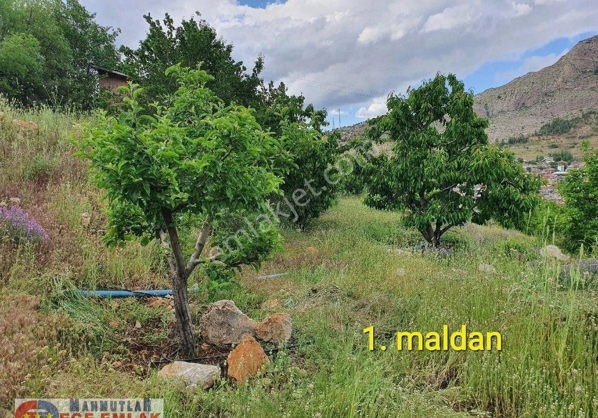 Konya Taşkent Balcılar Merkezde İçerisinde Ev Olan 3000 M2. Bahçe *alanya'da Daire İle Takas - Görsel 16