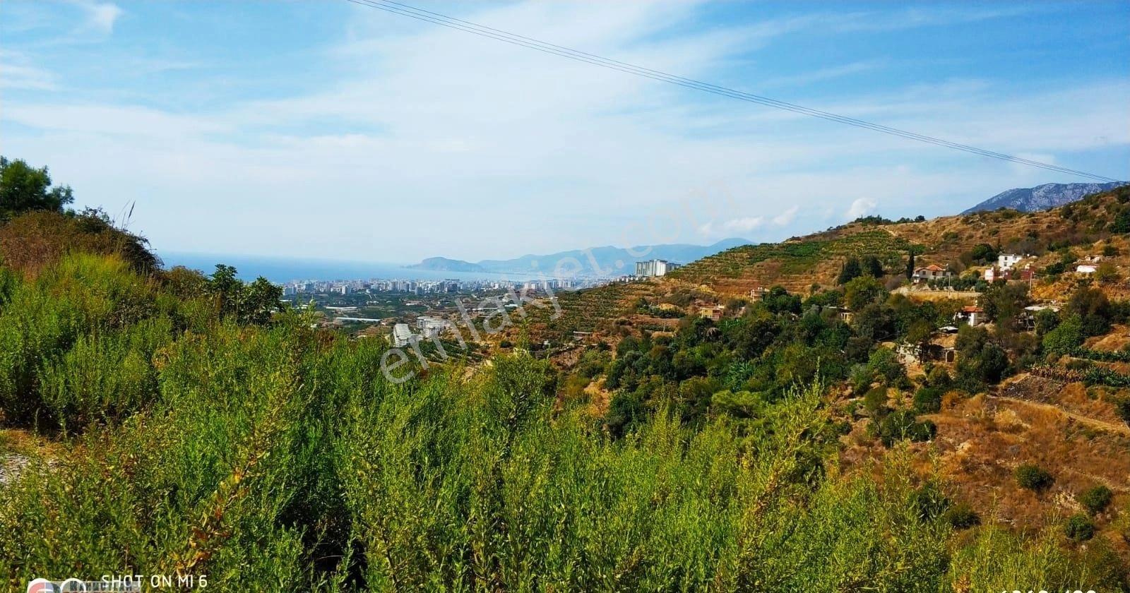 Alanya-karğıcak 124-12 Parsel 925 M2 İmarlı-full Manzaralı Üç Tatafı Yol Olan Arsa - Görsel 20