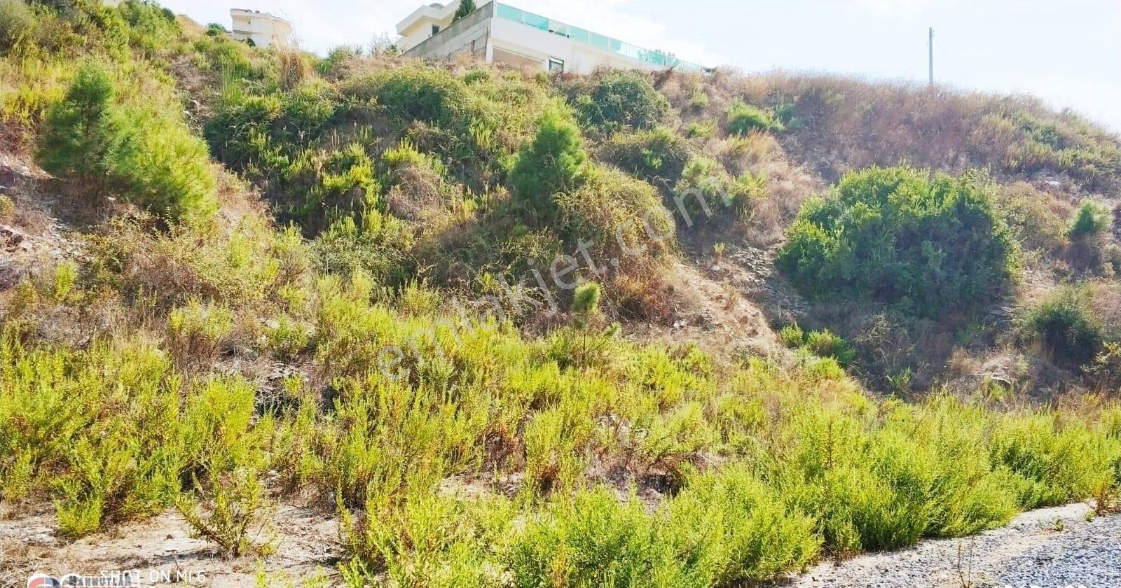 Alanya-karğıcak 124-12 Parsel 925 M2 İmarlı-full Manzaralı Üç Tatafı Yol Olan Arsa - Görsel 6