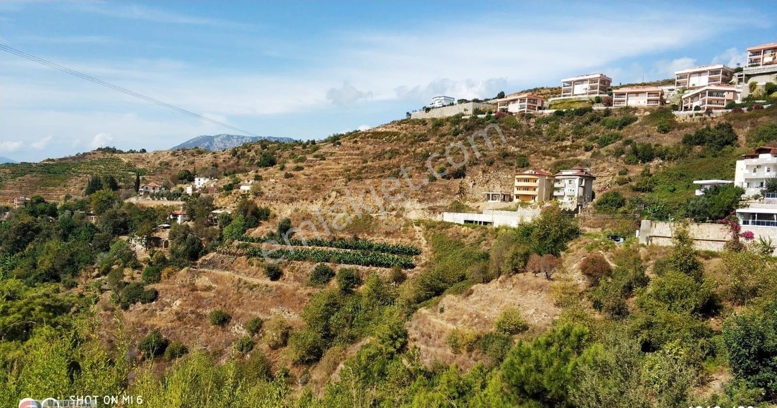 Alanya-karğıcak 124-12 Parsel 925 M2 İmarlı-full Manzaralı Üç Tatafı Yol Olan Arsa - Görsel 9