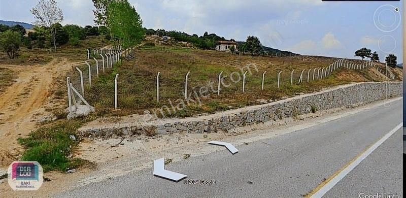 Orhaneli Kadı Satılık Tarla ORHANELİ-KADI MH BURSA KARAYOLU ÜZERİ SATILIK BLUEBERRY BAHÇESİ