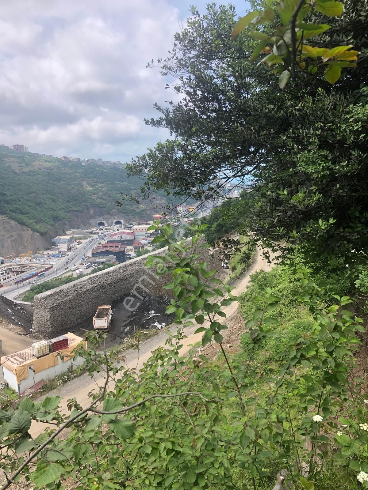 Trabzon Bulak Mahallesi Satılık 9.667 M2 Fındık Bahçesi - Görsel 2