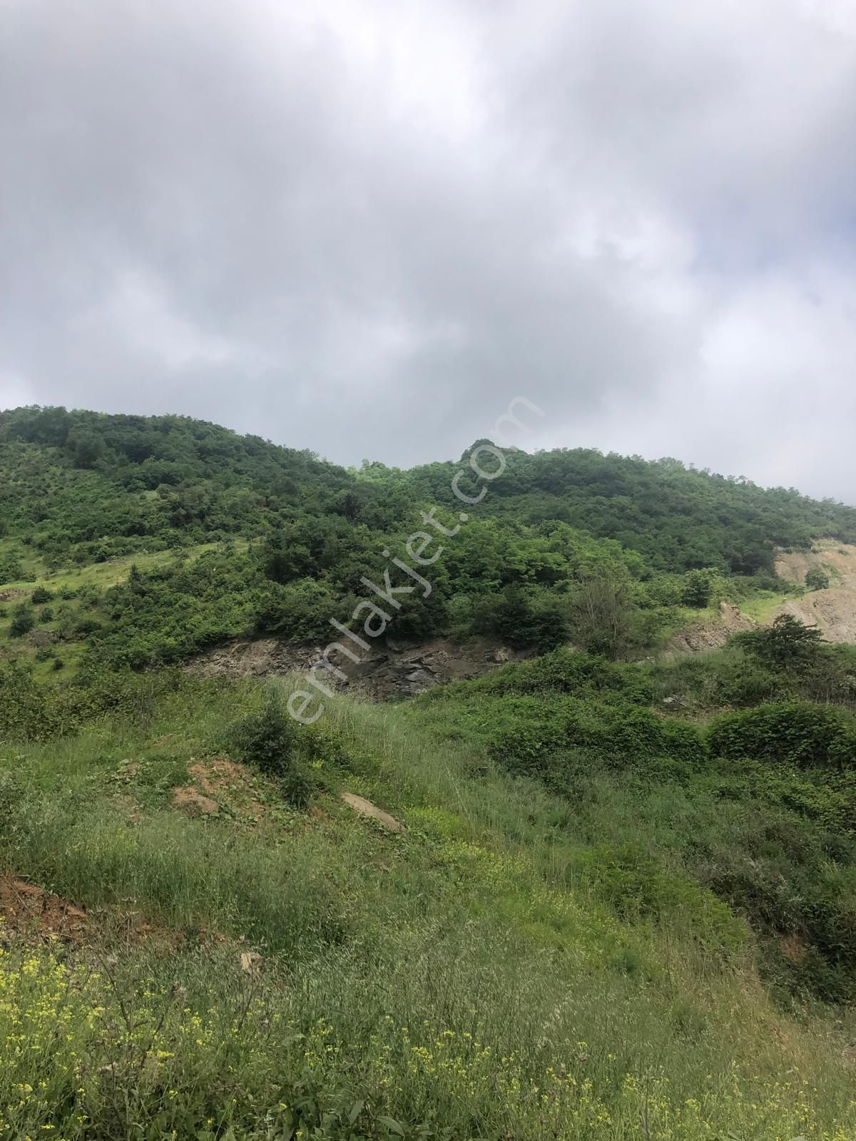 Trabzon Bulak Mahallesi Satılık 9.667 M2 Fındık Bahçesi - Görsel 12