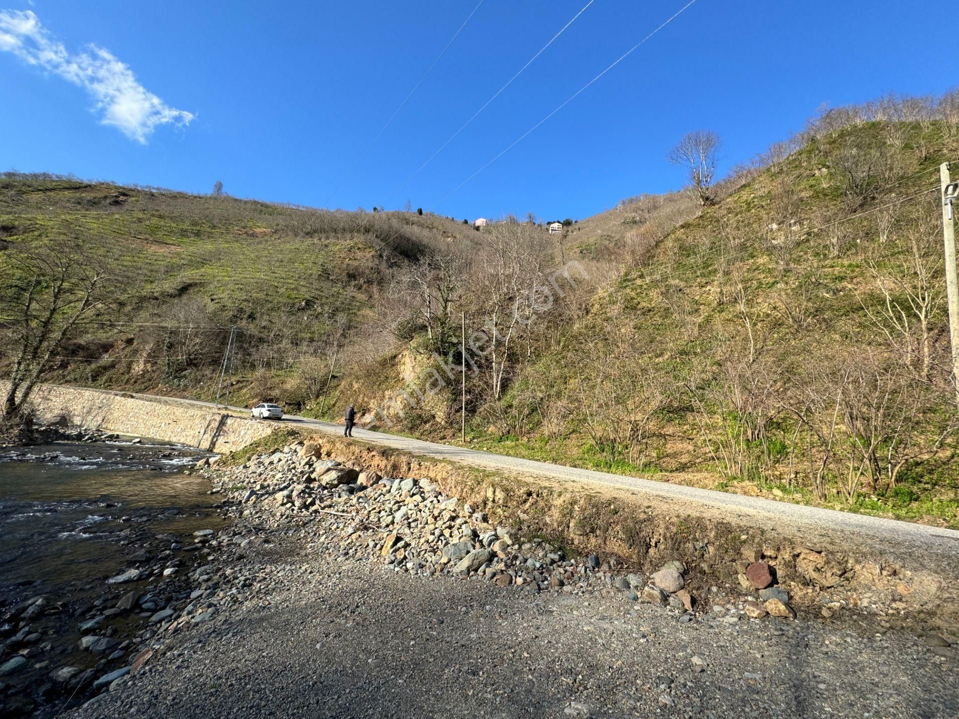 Giresun Merkez Duroğlu Bld. (Demirci) Satılık Tarla  HASAN HÜSEYİN İNANÇ GAYRİMENKULDEN GİRESUN DUROĞLU DEMİRCİ MAH. 4700 M2 SATILIK FINDIK BAHÇESİ    .