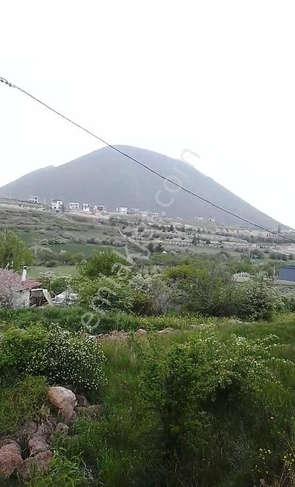 Talas Reşadiye Satılık Bağ & Bahçe Reşadiye merkez de İmar yanında bahçe 