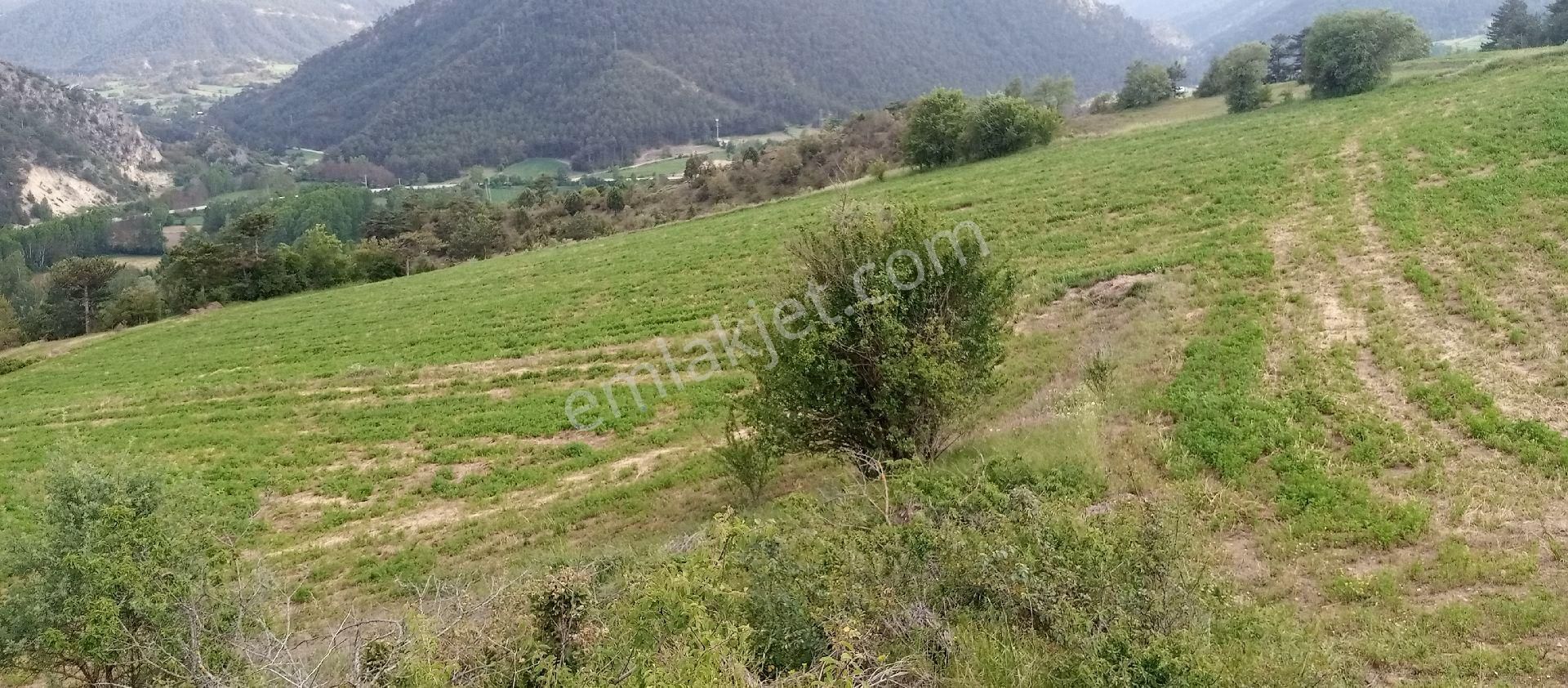 Mudurnu Güveytepe Köyü (Davutlar) Satılık Tarla REMAX MAVİ DEN MUDURNU GÜVEYTEPE KÖYÜNDE PANORAMİK MANZARALI 7 ADET TARLA