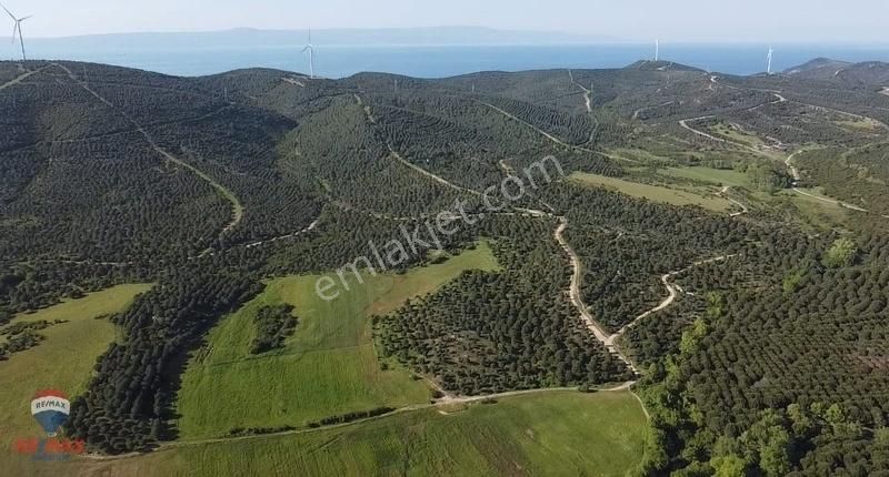 Biga Aksaz Köyü (Şahmelek) Satılık Tarla BİGA'NIN SAHİLLERİ İLE ÜNLÜ KÖYÜ AKSAZ'DA 9634 M2 SATILIK TARLA