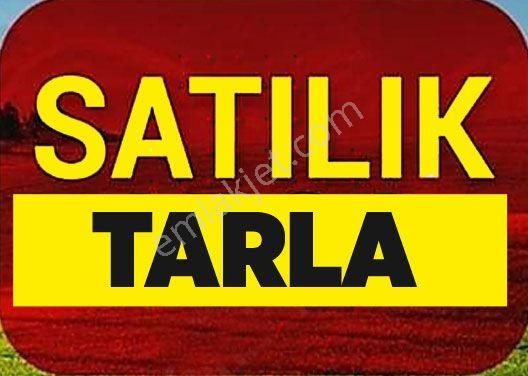 Tuşba Yumrutepe Satılık Tarla  TUŞBA YUMRUTEPE'DE SATILIK 21 DÖNÜM TARLA