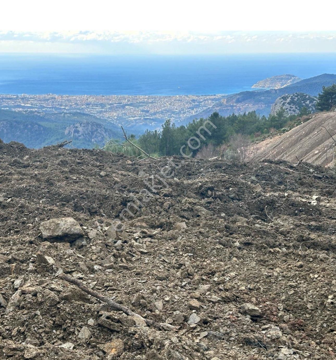 Alanya Bademağacı Satılık Tarla ALANYA da DENİZ MANZARALI YATIRIM PORTFÖYÜ