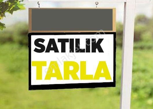 Tuşba Güvençli Satılık Tarla  TUŞBA GÜVENÇLİ'DE SATILIK 34 DÖNÜM TARLA